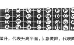 尤克里里基本的乐理知识-音阶（音程和十二平均律）