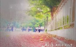 《北京东路的日子》尤克里里谱_弹唱视频教学