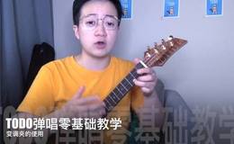 半音与全音的关系及变调夹使用_TODO弹唱零基础教学第十二集