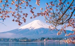《奇迹の山》尤克里里谱_指弹谱_指弹视频教学