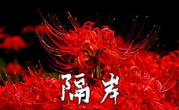 《隔岸》尤克里里谱-姚六一-C调弹唱伴奏ukulele谱(歌芮拉)