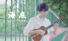 《海底》尤克里里指弹视频，一秒沦陷