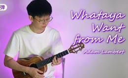 亚当·兰伯特《Whataya Want from Me》尤克里里谱_指弹独奏ukulele四线谱(桃子鱼仔教室)