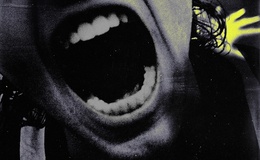 Teeth