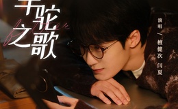 羊驼之歌